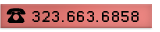 323.663.6858
